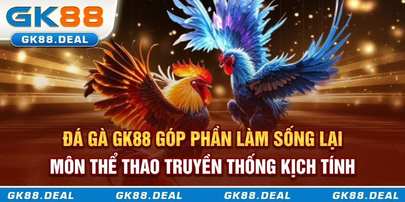 Đá Gà GK88 Đá gà GK88 góp phần làm sống lại môn thể thao truyền thống kịch tính