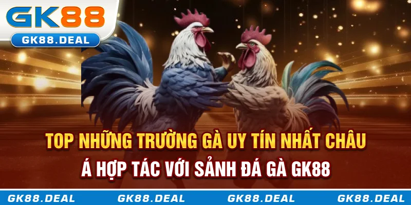 Đá Gà GK88 Top những trường gà uy tín nhất châu Á hợp tác với sảnh đá gà GK88